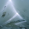 inside pressure ridge