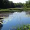 Little Mud Lake Flooding