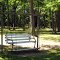 Markey Park