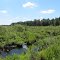 North branch of Denton Creek
