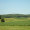 Cook Ln Farm (Watermill / Bridgehampton)