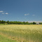 Scuttlehole rd Farm