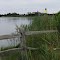 Mecox Bay