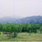 Turk-Nine Ranch