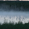 Fog at the border