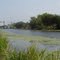 Near Houma, Louisiana - Little Caillou Road