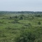 View of Sand Hills State Park from the top of a sand dune