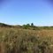 Sandhills State Park - Rolling Hills Trail