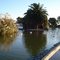 Duck Pond, San Lorenzo Park