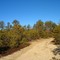 Rocky Point preserve burn area