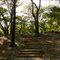 Stairs at Fort Fremont, part of a most impressive structure now overgrown with vegetation and partially hidden by a maritime forest consisting of live oak, water oak, laurel oak, red oak, magnolia, palmetto palm, holly, wax myrtle, and pine trees.