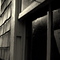 Dennis windows