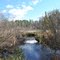 McDermott Creek