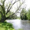 Along Namekagon River behind Wild River Bar & Grill