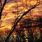 Sunset in Berea, KY
