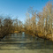 Symmes Creek - Frozen