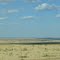 New Mexico
