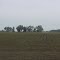 Homestead on Illinois Route 99