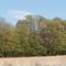 Field