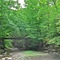Peasley Road bridge