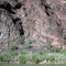 Basalt columns near Lava Falls