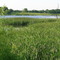 Miami Whitewater Forest Pond