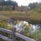 Fernald Nature Preserve