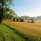 Oil Wells and Wheat