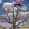 Flags snapping in the breeze