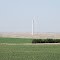 View of Windfarms from Highway 71 by Kimball