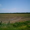 Biking landscape