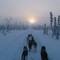 Running toward the sunrise in ice fog