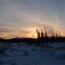 Sunrise on 5 Mile Swamp