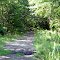Airline Trail View