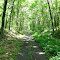 Airline Trail Goes Uphill