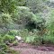 View of Richard Haley Native Wildlife Gardens