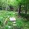 Small Bridges Over Brook/Wet Area