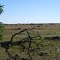 somewhere in Kleberg County, TX