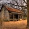 Dog Trot House