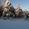 Arkansas Snow