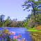 Airlie Gardens