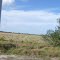 Fincas