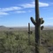 Picacho Peak State Park, Arizona