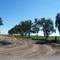 Tree lined road