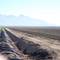 Irrigation pipes