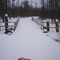 Arrowhead ultra trail