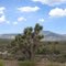 Road to Las Vegas