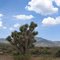 Road to Las Vegas