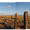 Sunset AZ Cemetery View