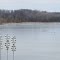 Birds like Thompson Lake